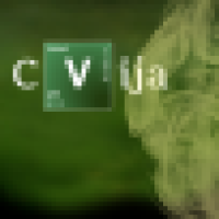 Cvija